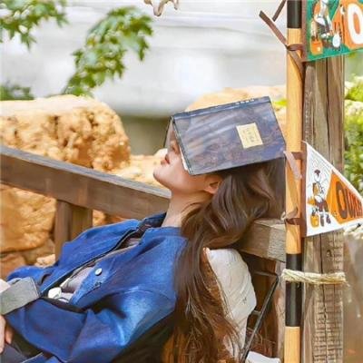 卫生间的圣母像